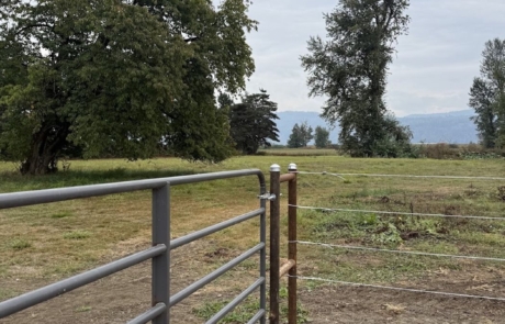 Pasture Pasture and gate with the Cascade foothills beyond