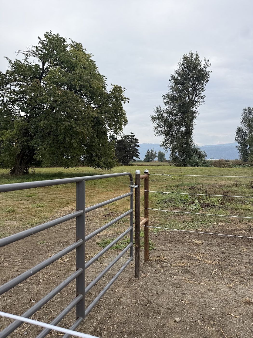 Pasture and gate with the Cascade foothills beyond